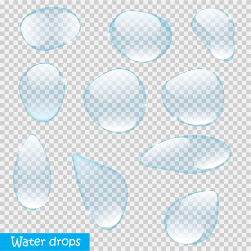 Transparent water drops illustration vector material 06 Transparent water drops illustration vector material 06