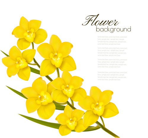 Elegant yellow flowers art background vector 02 Elegant yellow flowers art background vector 02