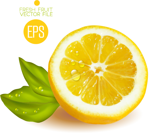 Fresh cut lemon design vector 03