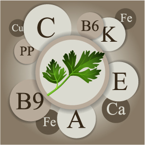 Healthy food with nutrition elements vector 02 Healthy food with nutrition elements vector 02