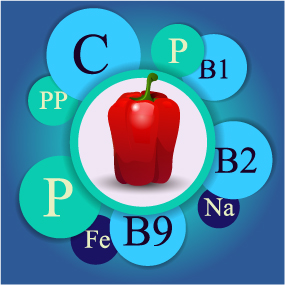 Healthy food with nutrition elements vector 05