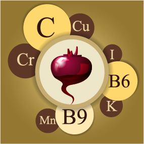 Healthy food with nutrition elements vector 07 Healthy food with nutrition elements vector 07