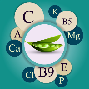 Healthy food with nutrition elements vector 08 Healthy food with nutrition elements vector 08