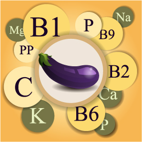 Healthy food with nutrition elements vector 11