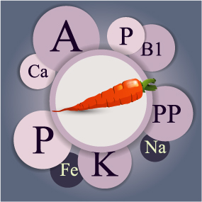 Healthy food with nutrition elements vector 12 Healthy food with nutrition elements vector 12