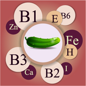 Healthy food with nutrition elements vector 14 Healthy food with nutrition elements vector 14
