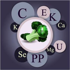 Healthy food with nutrition elements vector 15