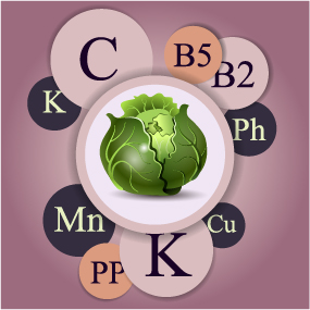 Healthy food with nutrition elements vector 17