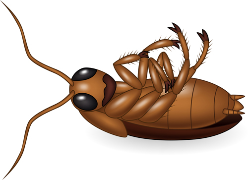 cartoon insect vector cartoon insect vector