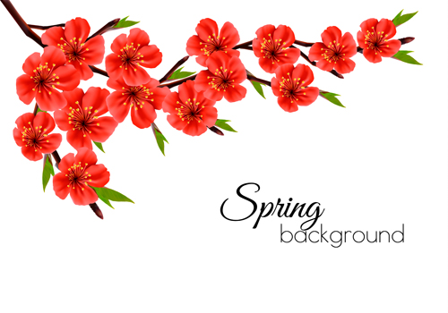 Beautiful red flowers spring vectors background Beautiful red flowers spring vectors background