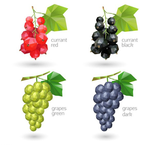 Geometric shapes currant and grapes vector Geometric shapes currant and grapes vector
