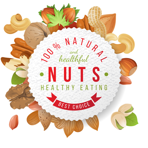 nuts with round paper vector background nuts with round paper vector background