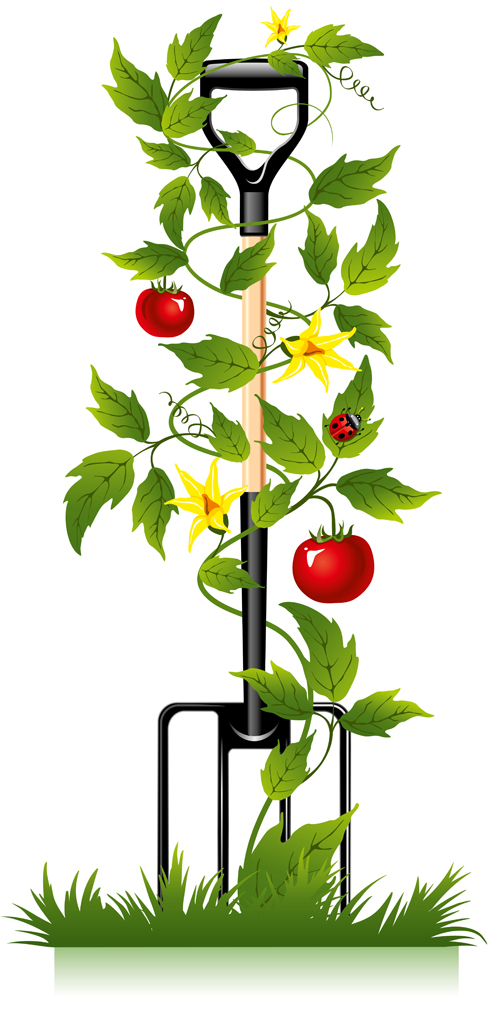 spade and tomato vector material