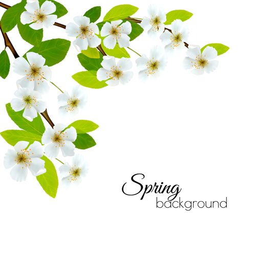 Spring background with white flowers vector Spring background with white flowers vector