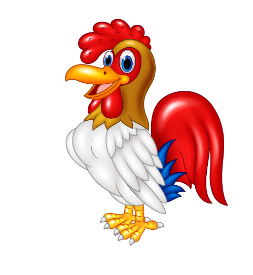 Beautiful cartoon cock vector