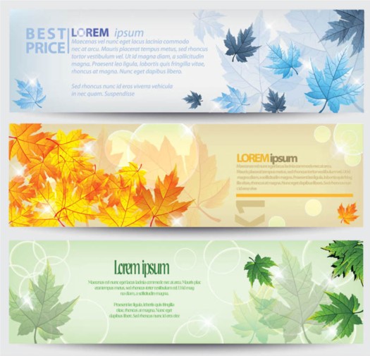 maple colorful banner 