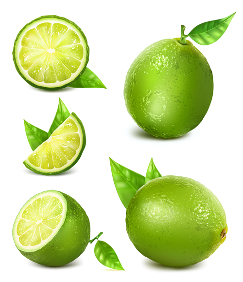 Green lemon vector material Green lemon vector material