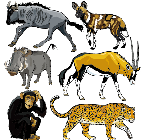 Vector set of wild animals design graphic 08 Vector set of wild animals design graphic 08