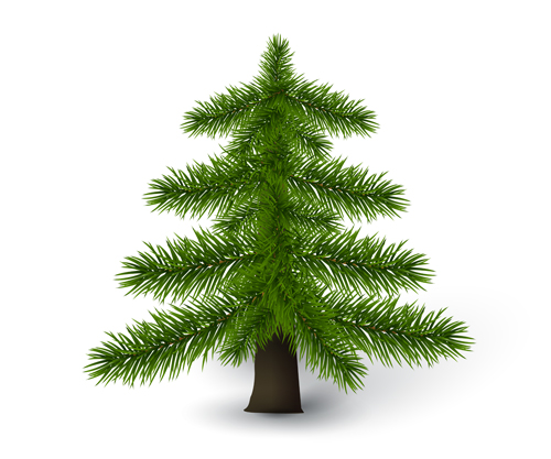 Christmas green fir tree vector material 02