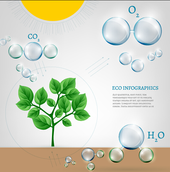Eco Infographics with bubble vectors 17 Eco Infographics with bubble vectors 17