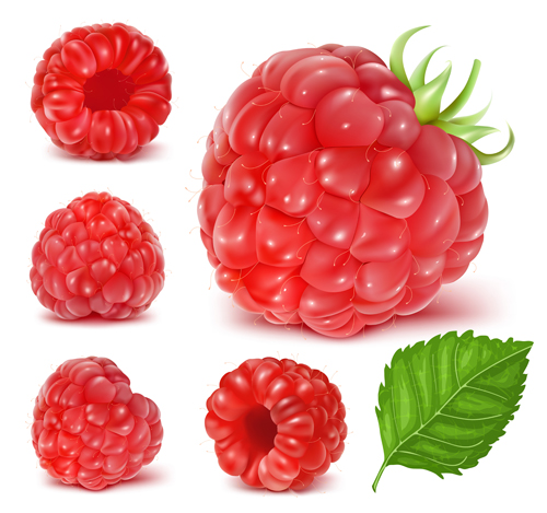 red juicy berries 