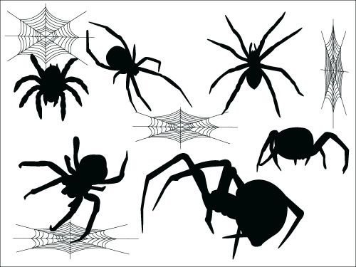 spider silhouetter 