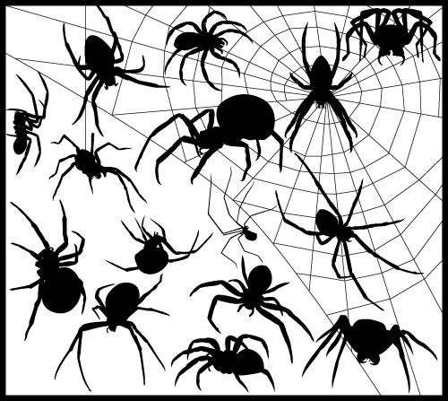 Spider vector silhouetter set 02
