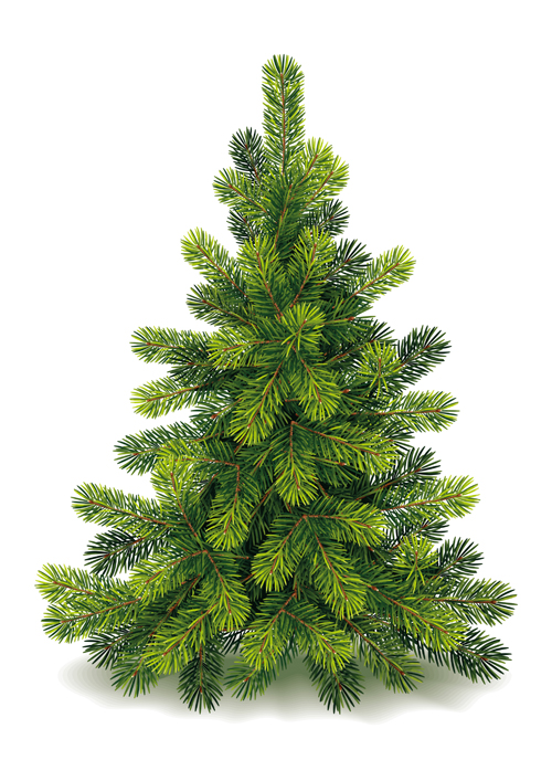 Christmas green fir tree vector material 03 Christmas green fir tree vector material 03