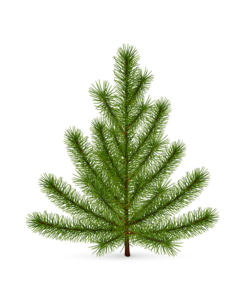Christmas green fir tree vector material 04 Christmas green fir tree vector material 04