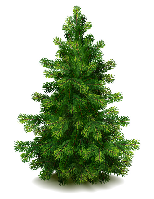 Christmas green fir tree vector material 05 Christmas green fir tree vector material 05