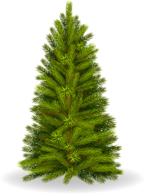 Christmas green fir tree vector material 06 Christmas green fir tree vector material 06