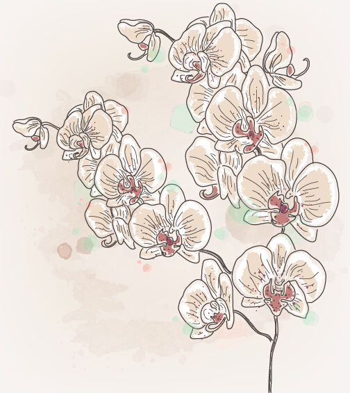 Hand drawn flower retor vector material 04 Hand drawn flower retor vector material 04