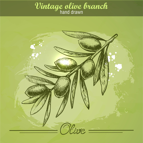 Vintage olive cranch hand drawn vector 01 Vintage olive cranch hand drawn vector 01