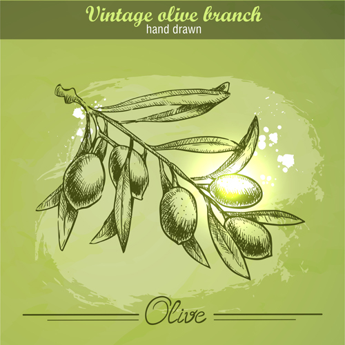 vintage olive hand drawn cranch 