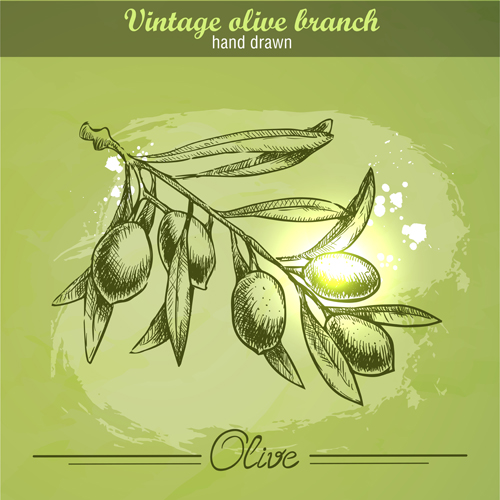 Vintage olive cranch hand drawn vector 02 Vintage olive cranch hand drawn vector 02