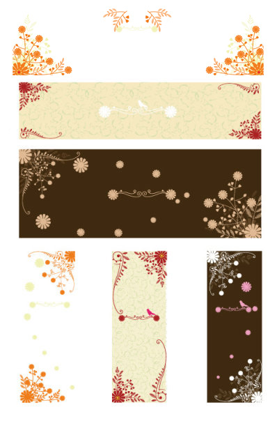 Border combination vector