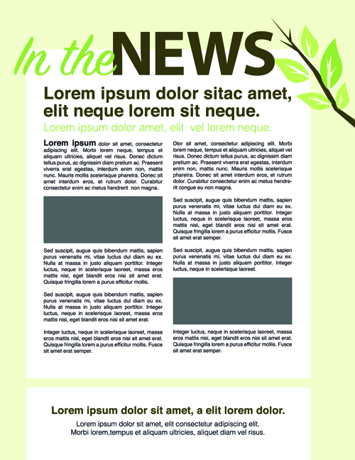 page News layout design layout 