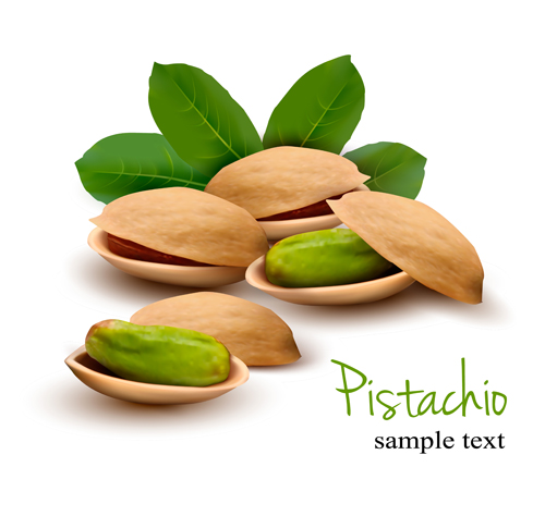 Realistic pistachio shiny vector background Realistic pistachio shiny vector background