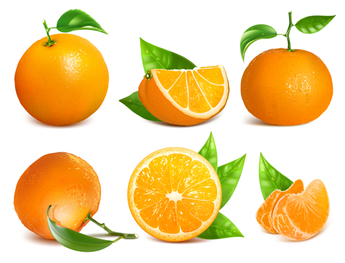 Ripe oranges and leaves vector Ripe oranges and leaves vector
