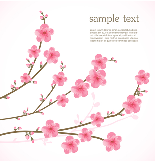 Spring pink cherry vector background Spring pink cherry vector background