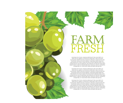 Vector farm fresh fruit background design 06 Vector farm fresh fruit background design 06