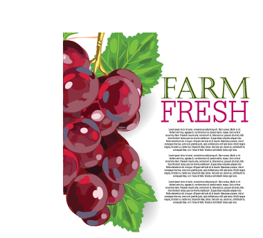 Vector farm fresh fruit background design 11 Vector farm fresh fruit background design 11