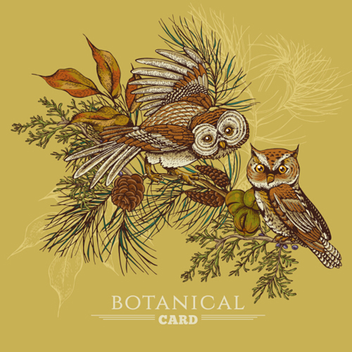 Owl with vintage cards vector 02 Owl with vintage cards vector 02