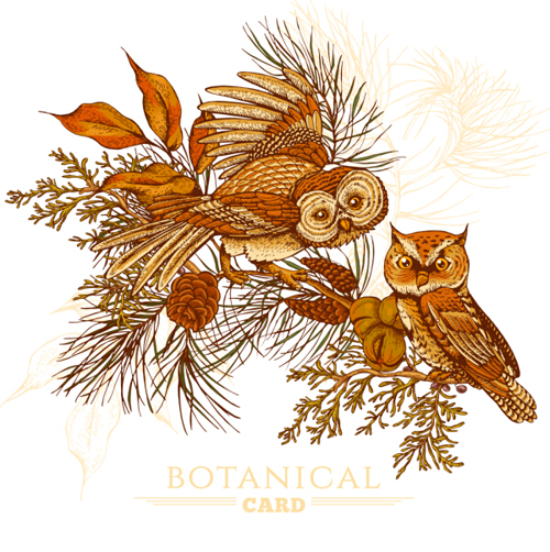 vintage owl cards 