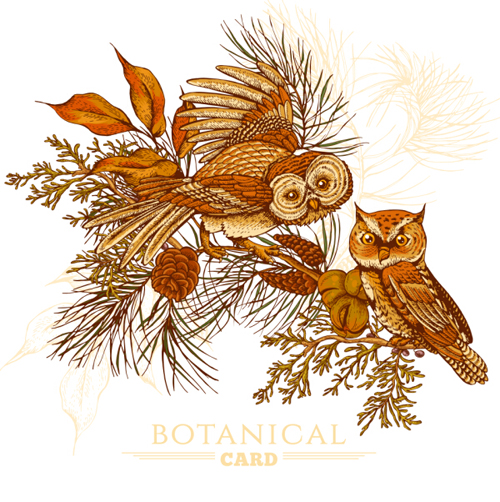 Owl with vintage cards vector 07 Owl with vintage cards vector 07
