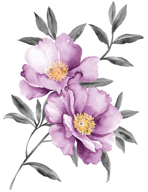 Purple peony watercolor vector Purple peony watercolor vector