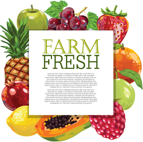 fruit farm fresh background 