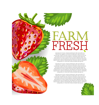 Vector farm fresh fruit background design 05 Vector farm fresh fruit background design 05