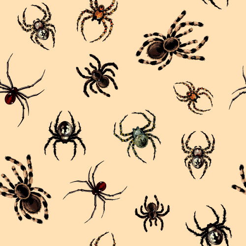 spider seamless pattern design 
