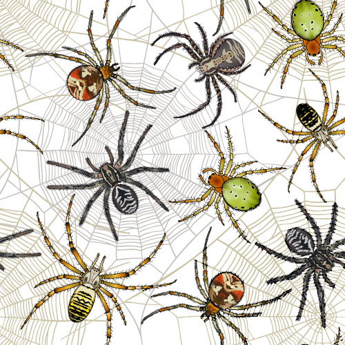 Vector spider seamless pattern design 03 Vector spider seamless pattern design 03